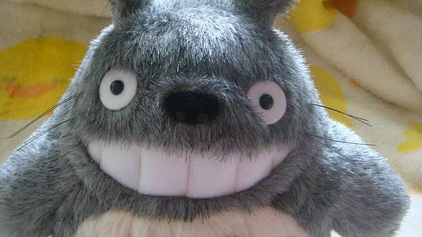 DSC09987.JPG DSC09987.JPG