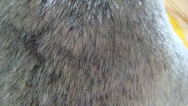 DSC09990.JPG DSC09990.JPG