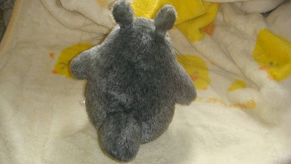 DSC09992.JPG DSC09992.JPG