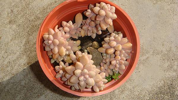 0204 (1).JPG 0204 (1).JPG