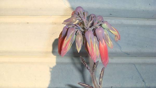 DSC03765.JPG DSC03765.JPG