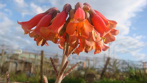 DSC04153.JPG DSC04153.JPG