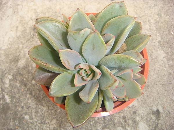 DSC06231.JPG DSC06231.JPG