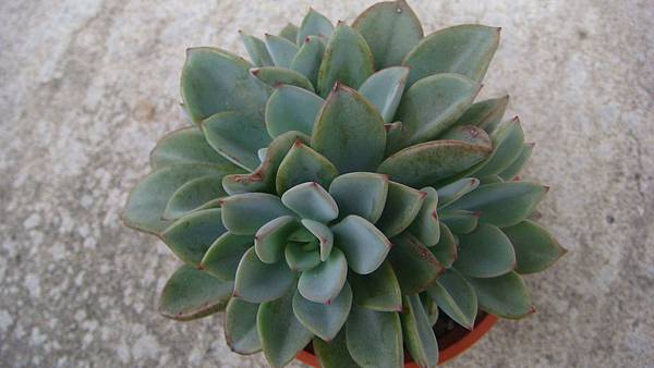 DSC07140.JPG DSC07140.JPG