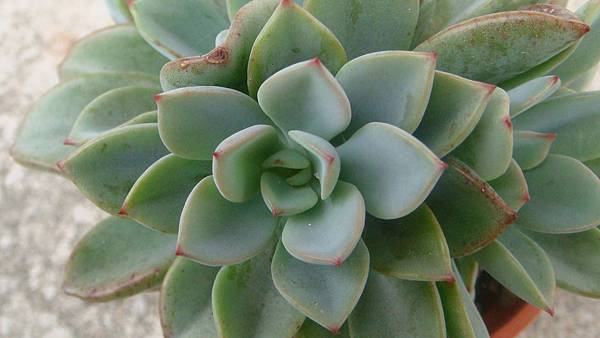 DSC07141.JPG DSC07141.JPG