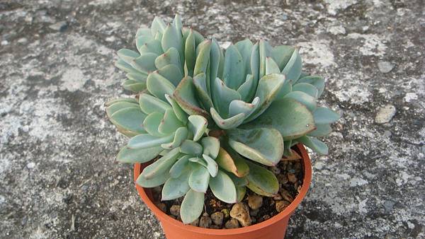 DSC07460.JPG DSC07460.JPG