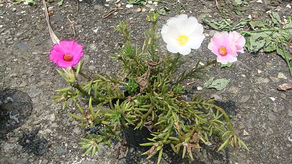 DSC08892.JPG DSC08892.JPG