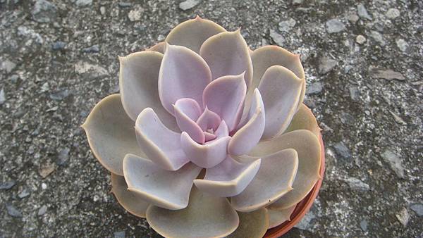 DSC09396.JPG DSC09396.JPG