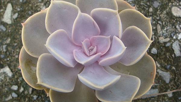 DSC09485.JPG DSC09485.JPG