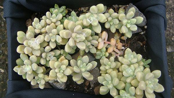 DSC09685.JPG DSC09685.JPG