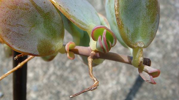 DSC09768.JPG DSC09768.JPG