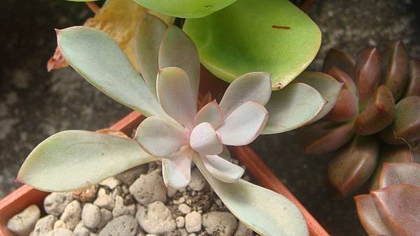 DSC09902.JPG DSC09902.JPG