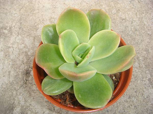 0329 (1).JPG 0329 (1).JPG