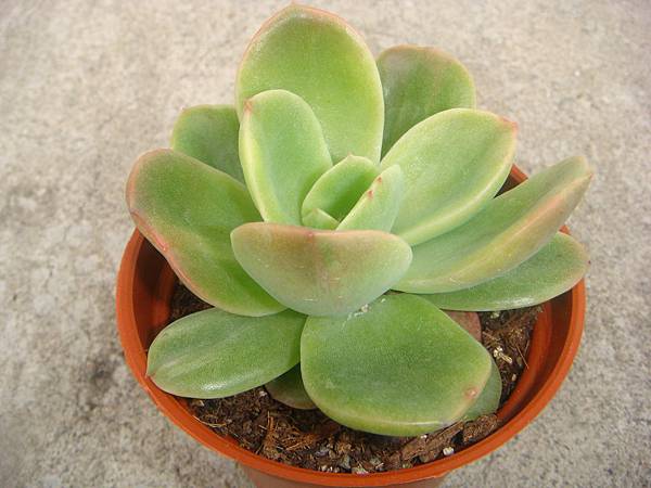 0329 (2).JPG 0329 (2).JPG