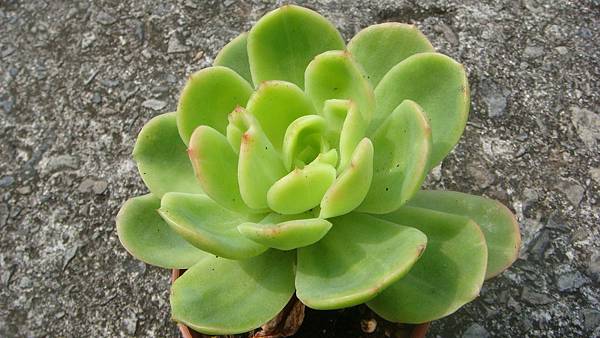 0827 (1).JPG 0827 (1).JPG