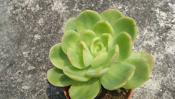 0831 (1).JPG 0831 (1).JPG