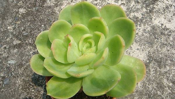 0831 (2).JPG 0831 (2).JPG