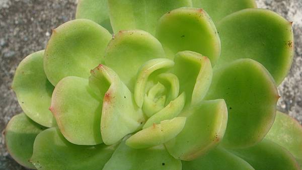 0831 (3).JPG 0831 (3).JPG