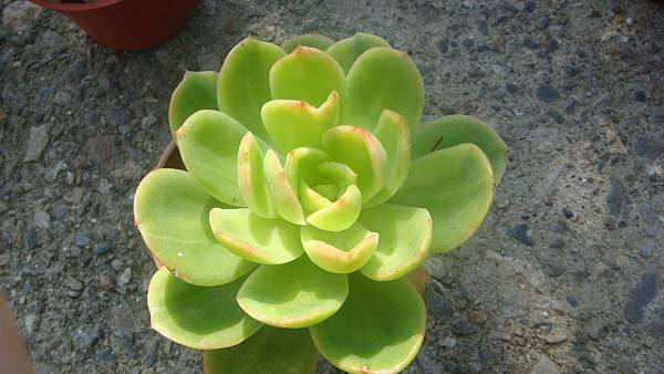 0924 (2).JPG 0924 (2).JPG