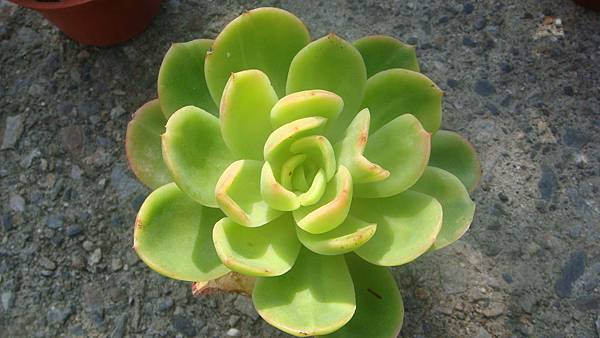 0924 (1).JPG 0924 (1).JPG