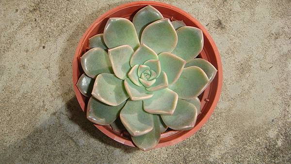 0204 (1).JPG 0204 (1).JPG