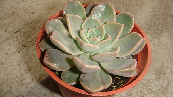 0204 (2).JPG 0204 (2).JPG