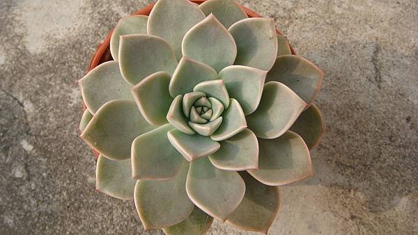 0402 (1).JPG 0402 (1).JPG