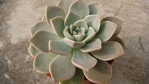 0402 (3).JPG 0402 (3).JPG