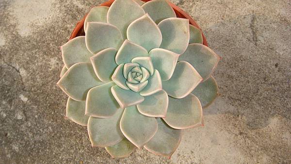 0402 (4).JPG 0402 (4).JPG