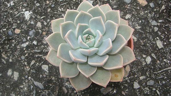 0518 (1).JPG 0518 (1).JPG