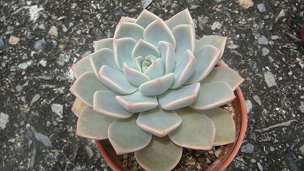 0518 (2).JPG 0518 (2).JPG