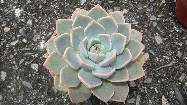 0518 (3).JPG 0518 (3).JPG