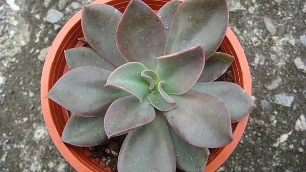 0417 (1).JPG 0417 (1).JPG