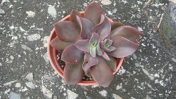 0417 (2).JPG 0417 (2).JPG