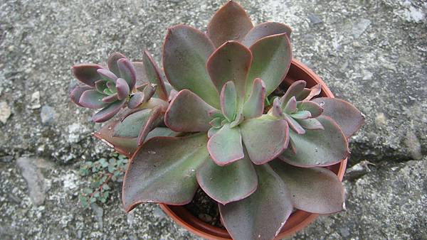 0806 (1).JPG 0806 (1).JPG