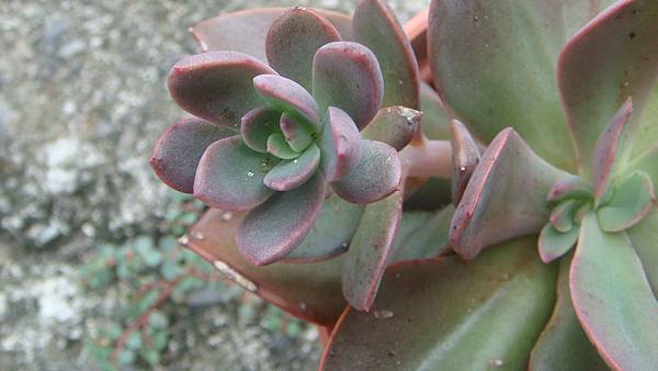 0806 (2).JPG 0806 (2).JPG