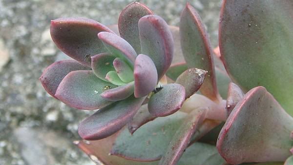 0806 (3).JPG 0806 (3).JPG