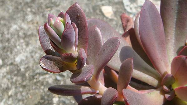 0921 (1).JPG 0921 (1).JPG