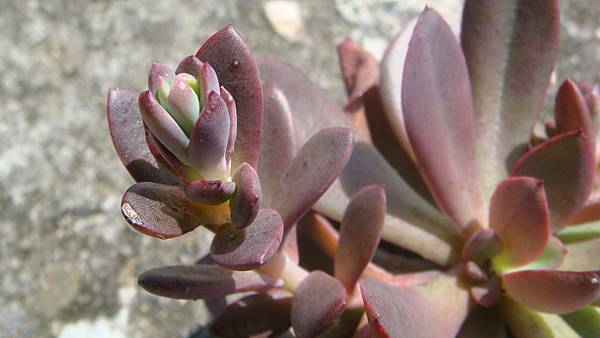 0921 (3).JPG 0921 (3).JPG