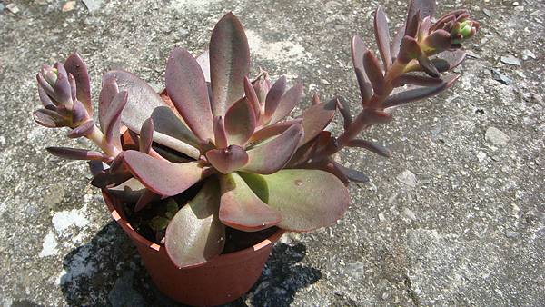 0921 (2).JPG 0921 (2).JPG