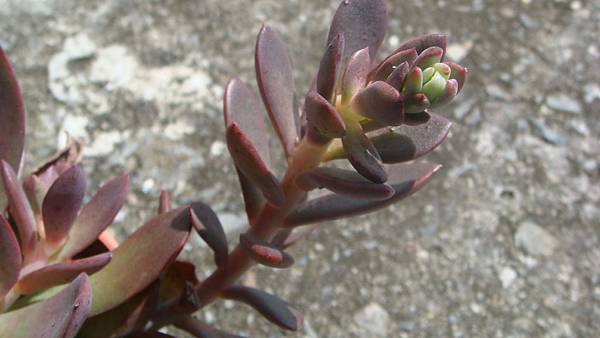 0921 (4).JPG 0921 (4).JPG