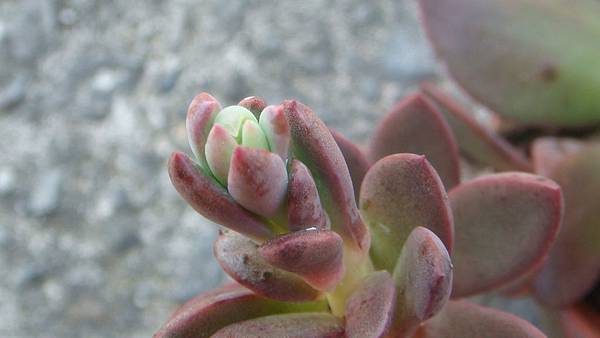 0921 (5).JPG 0921 (5).JPG