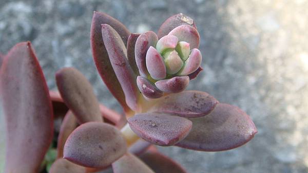 0921 (6).JPG 0921 (6).JPG