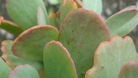 DSC09714.JPG DSC09714.JPG