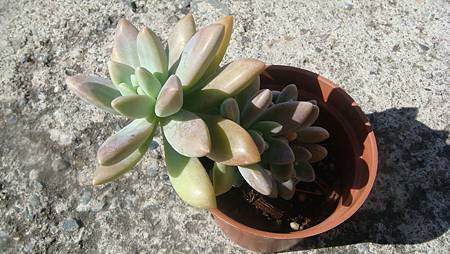 1211 (2).JPG 1211 (2).JPG