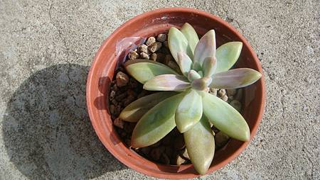 0114 (1).JPG 0114 (1).JPG