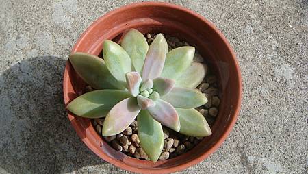 0114 (2).JPG 0114 (2).JPG