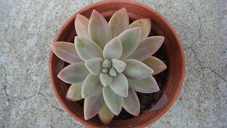 0309 (1).JPG 0309 (1).JPG