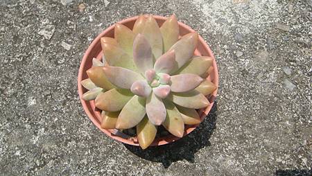 0725 (1).JPG 0725 (1).JPG