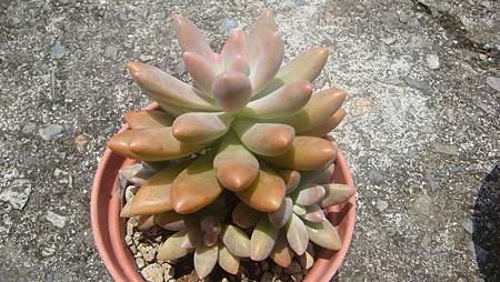 0725 (3).JPG 0725 (3).JPG